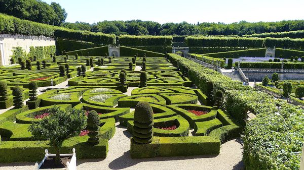 Château de Villandry 0022