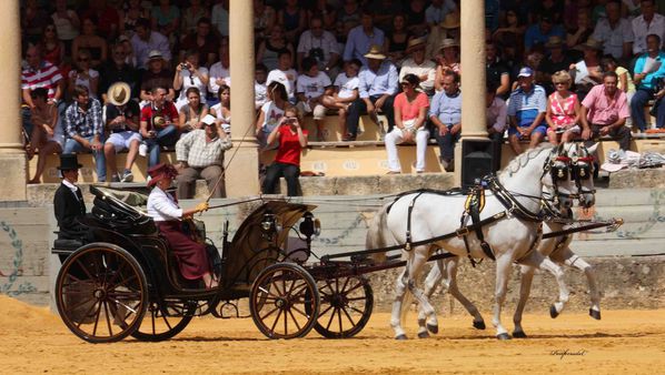 Ronda-2013-Potos-J-PONFERRADA 4542 R