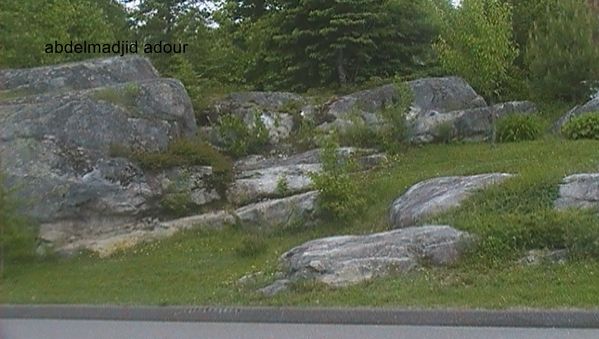 p5--17-.jpg