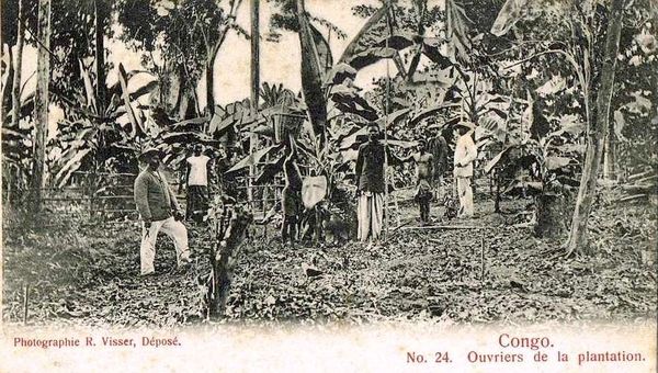 congo-plantation-ouvriers