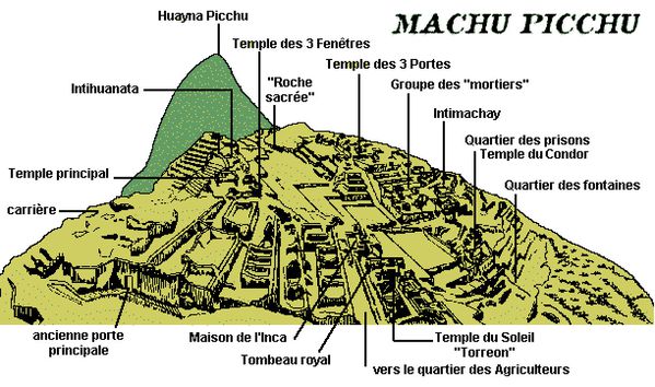 PICCHU CARTE