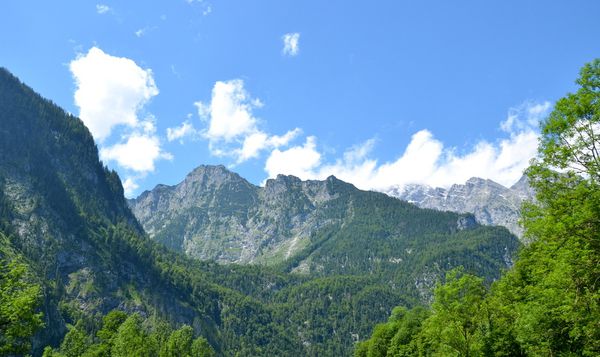 118.JPG