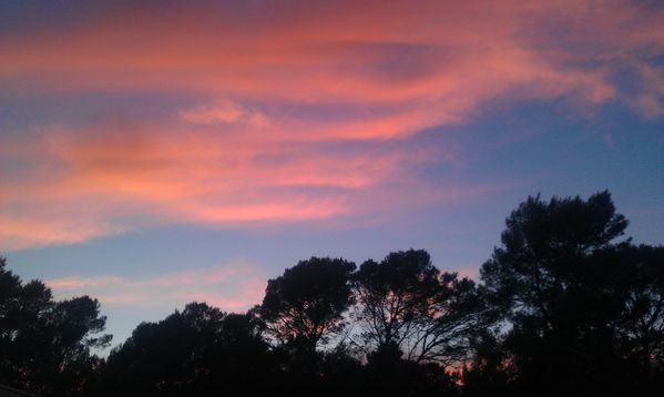 IMAG0601.jpg