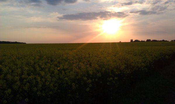 IMAG0013.jpg