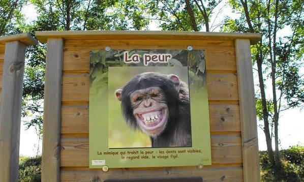 DSCF7547---R.JPG