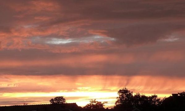 sol-050812-copie-1.jpg