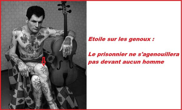 tatouages - le blog surfingmoune