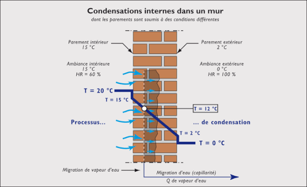 5 Pièces 10 Pièces TPR Matériau Élastique Dinosaure Doigt - Temu Belgium