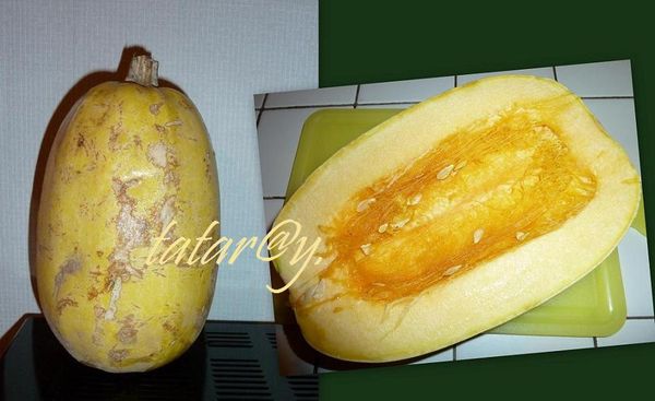 Courges-blog.jpg