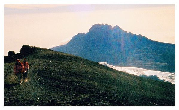 kilimandjaro 28 bis
