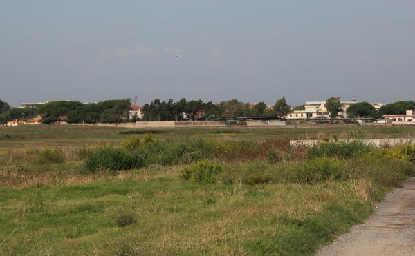 LA0A4097.JPG
