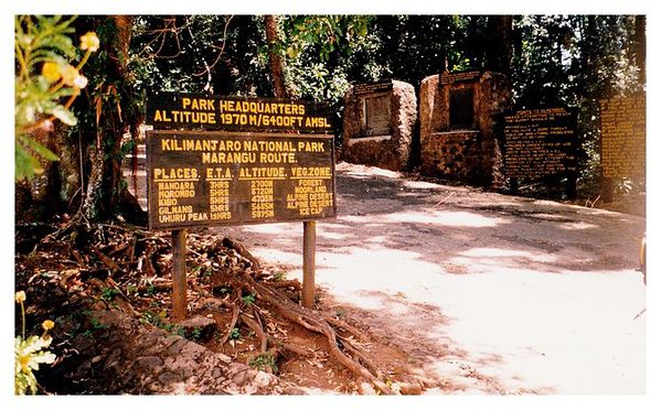 kilimandjaro 13