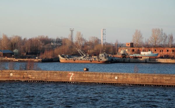 msc1388