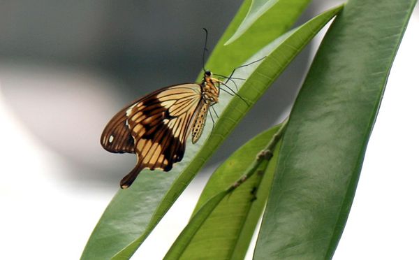 test-291.JPG