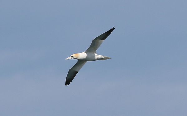 LA0A8710.JPG