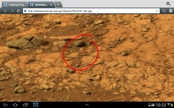 Pia16701-A-roue-crantee.PNG