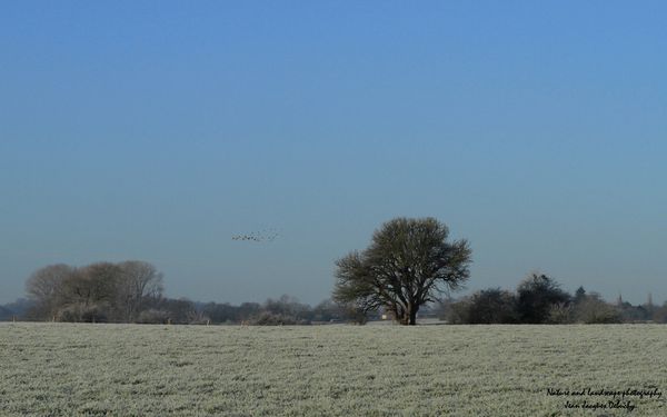 -5° 3