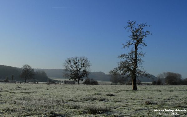 -5° 6