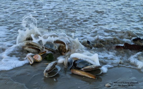 Pourquoi-l-eau--ca-mouille.jpg