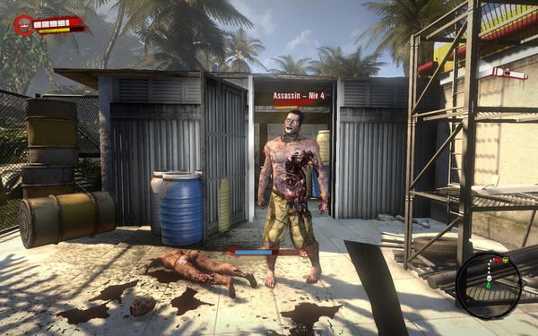 dead-island-pc-1315582377-083.jpg