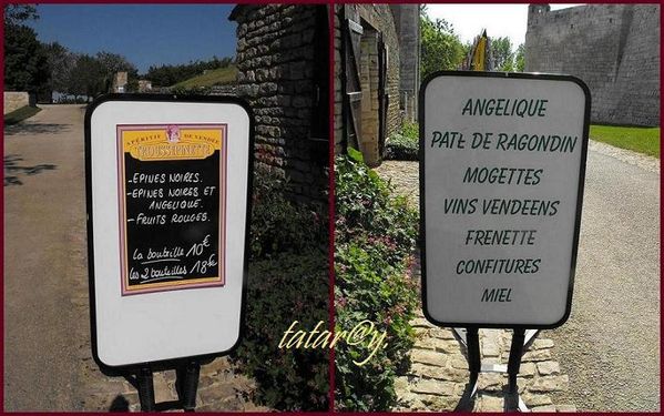 pano-maillezais.-R.jpg