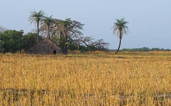 Haute Casamance