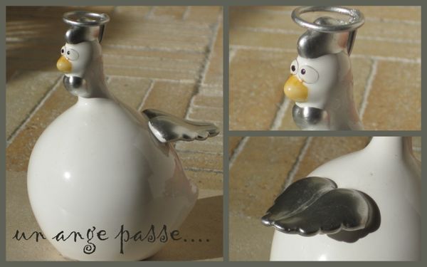 poule-ange.jpg