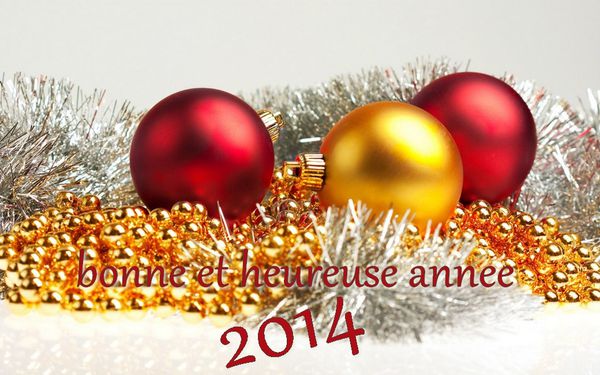 image-wp-2014-bonne-annee--4-.jpg