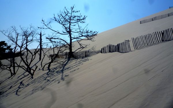 Dune du Pilat