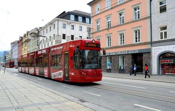 497.JPG