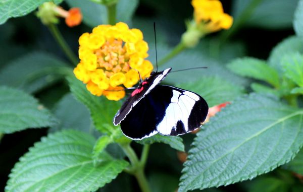 test-114.JPG