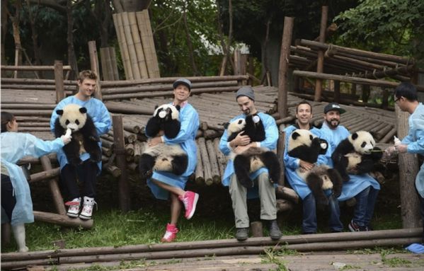sem13juia-Z15-Backstreetboys-avec-des-pandas-Chine.jpg