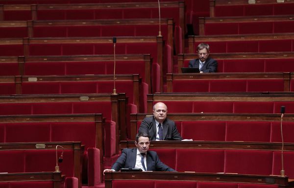 Bruno-Le-Roux-Thierry-Mandon-Assemblee-nationale.jpg