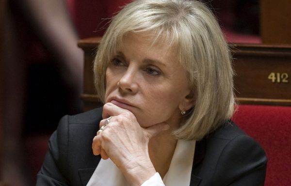 PS-Assemblee-nationale-Guigou.jpg