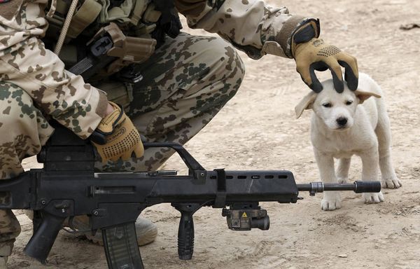sem98-Z34-Afghanistan.jpg