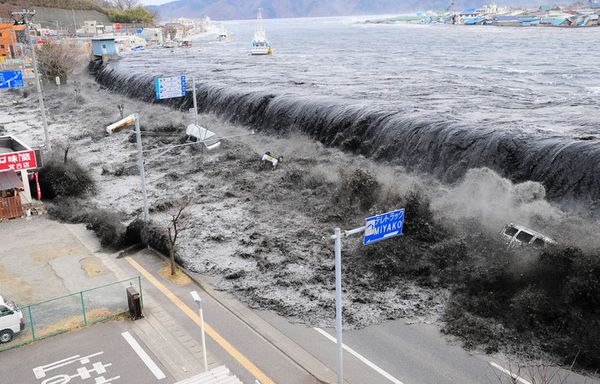 japon-Z4-Vague-Miyako-Tsunami.jpg