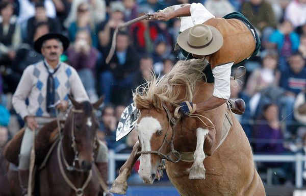 sem11ae-Z35-Jambes-en-l-air-rodeo.jpg