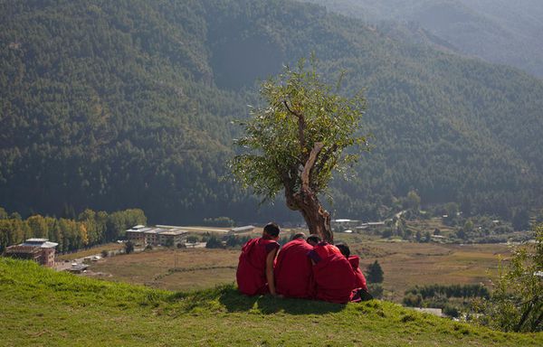 sem11octd-Z27-Dechen-Phrodrang-Bhoutan.jpg