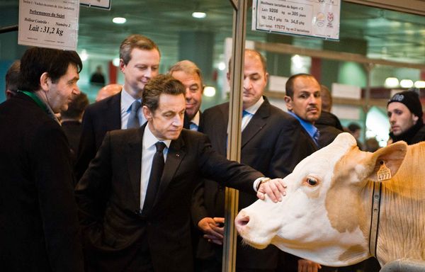 Nicolas-Sarkozy-Salon-Agriculture-vache.jpg