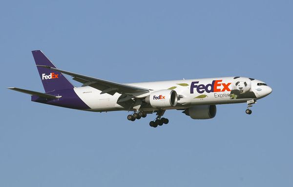 sem12jane-Z16-Avion-FedEx-Pandas-Chine.jpg