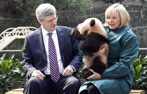 sem12fevd-Z3-Stephen-Harper-premier-ministre-canadien-Chine.jpg