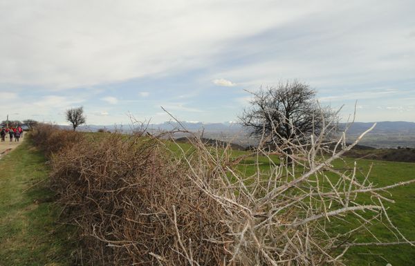 DSC04636