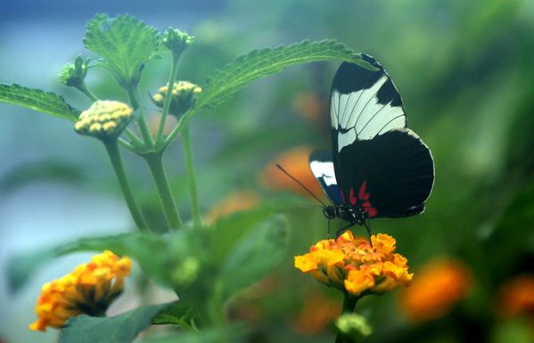 test-080.JPG