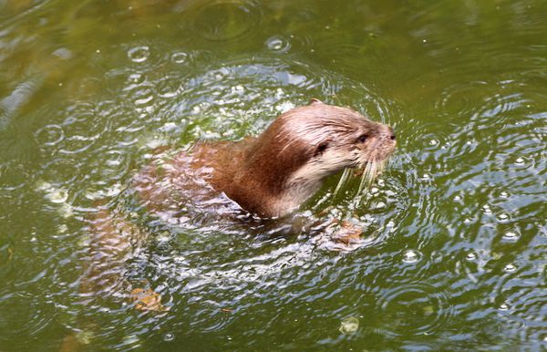 test-793-copie-1.JPG