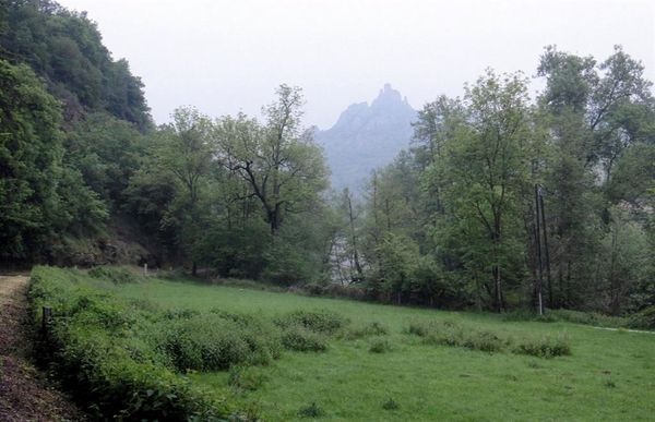 01 (Large)