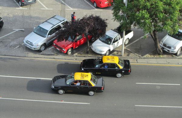insolite 5131