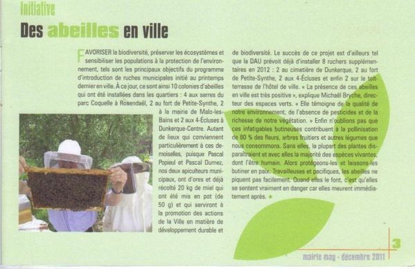 abeilles-001.jpg