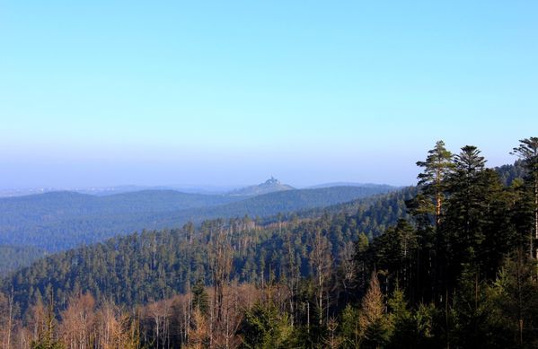 Le-schneeberg 2092