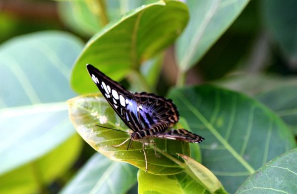 test-447.JPG