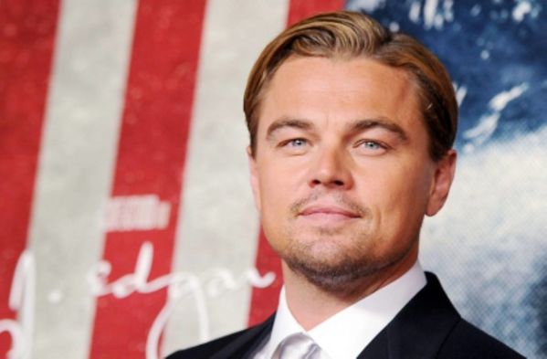 DiCapW.jpg